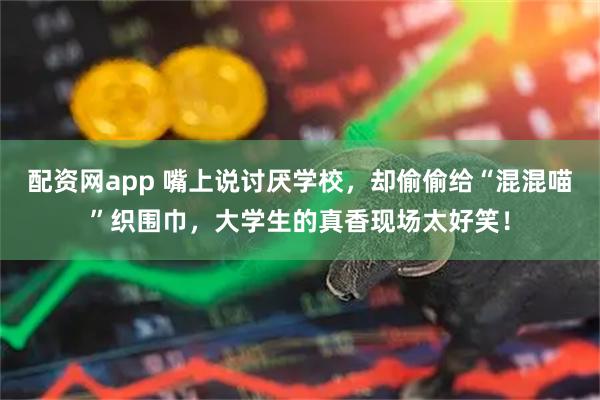 配资网app 嘴上说讨厌学校，却偷偷给“混混喵”织围巾，大学生的真香现场太好笑！