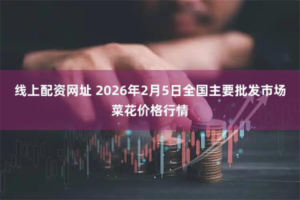 线上配资网址 2026年2月5日全国主要批发市场菜花价格行情